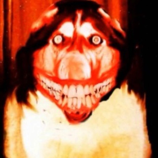 Telegram profile photo for scrubby