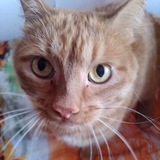 Telegram profile photo for все гениальные слова илема