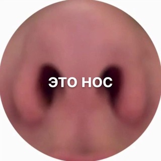 Telegram profile photo for токсичная солянка Фьеви