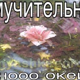 Telegram profile photo for Мучительная смерть