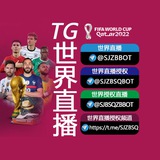 Telegram profile photo for 世界杯直播转播飞机授权