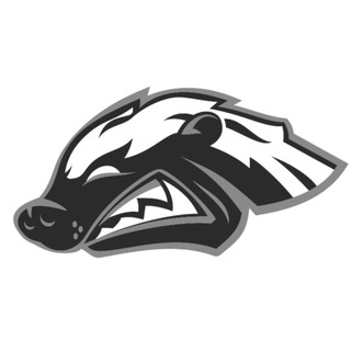 Telegram profile photo for HB BOXING | HONEY BADGER