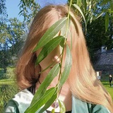Telegram profile photo for полынь