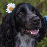 Telegram profile photo for Кадры русской