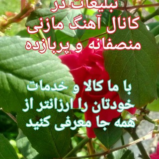 Telegram profile photo for تبلیغات آهنگ مازنی