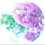 Telegram profile photo for قناة ياليتني قدمت لحياتي