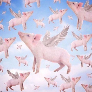 Telegram profile photo for lириk wtf?lol