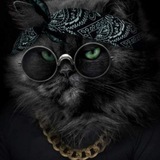 Telegram profile photo for Teacher Mamad Mashali