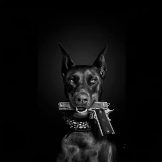 Telegram profile photo for Прогулка по Москве и не только