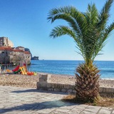 Telegram profile photo for Budva