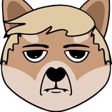 Telegram profile photo for TrumpDoge - TruDogeCoin