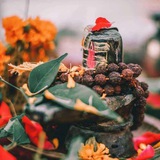 Telegram profile photo for Mahakal Status duniya