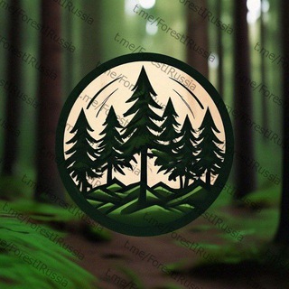 Telegram profile photo for Пиломатериалы, Лес на Корню, Кругляк, Фумигация, Поддоны / Паллеты