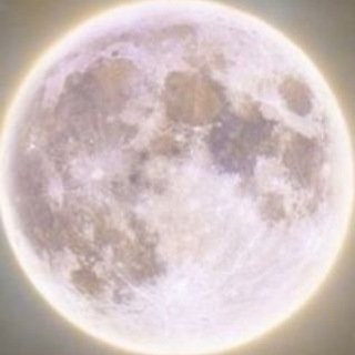 Telegram profile photo for Pink tab