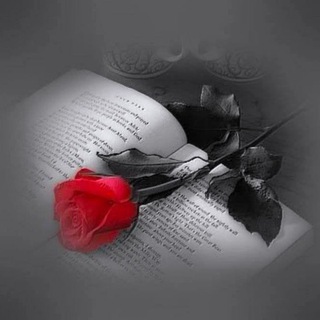 Telegram profile photo for Buy and Sell older groups بيع وشراء القروبات القديمة