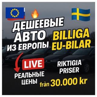 Telegram profile photo for AUTOZONE