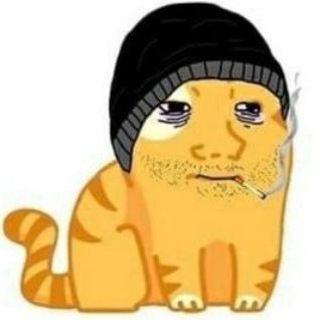 Telegram profile photo for Глеб4