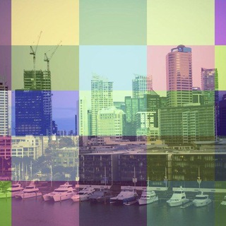 Telegram group profile photo for New Zealand Common Law Group.
