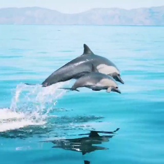 Telegram group profile photo for ЧАТ Паблика Путешественника по миру ☀️🌊🏔