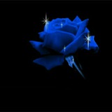 Telegram profile photo for منتخب خبرها