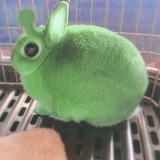 Telegram profile photo for arsip eiralie.