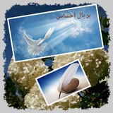 Telegram profile photo for بر بال احساس