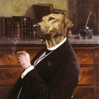 Telegram profile photo for Natsecjeff - News, Conflicts, Militancy, Terrorism, OSINT