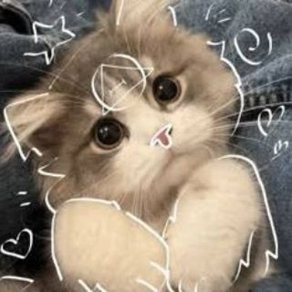 Telegram profile photo for Киса