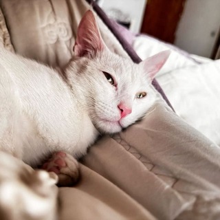 Telegram profile photo for ๐
๐๐ญ๐ข๐๐๐ซ๐ฌ๐