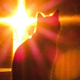 Telegram profile photo for 𝕂𝕚𝕄𝕚𝕤 переходник