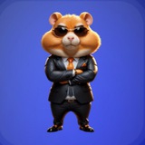 Telegram profile photo for ایردراپ فارسی 2025