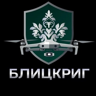 Telegram profile photo for Блицкриг. Контракт от Московской области