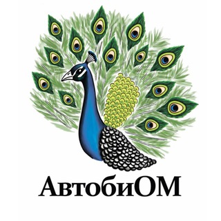 Telegram profile photo for АвтобиОМ