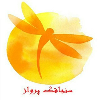 Telegram profile photo for سنجاقک پرواز