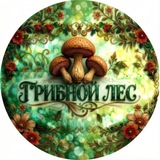 Telegram profile photo for Грибной Лес