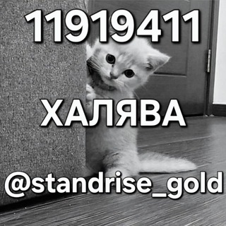 Telegram profile photo for StandRise Раздачи🔥