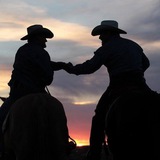 Telegram profile photo for Ogil Vouches & reviews