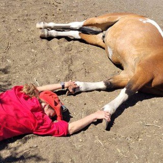 Telegram profile photo for Loving Wild Horse - Loving Woman
