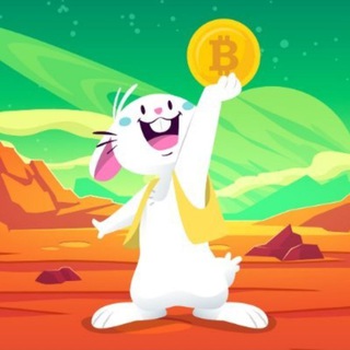 Telegram group profile photo for Shilling Bunny 🐰