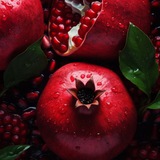 Telegram profile photo for Persephone Dreams