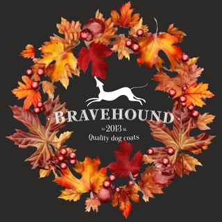Telegram profile photo for BRAVEHOUND