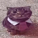 Telegram profile photo for Answer