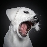 Telegram profile photo for Heard a Cairn: Result Hiphop