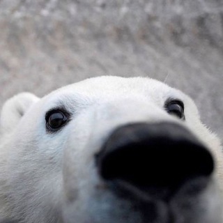 Telegram profile photo for витюш credits ✍
