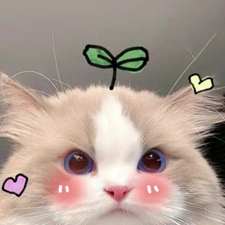 Telegram profile photo for ᴅ ʀ ᴀ ғ ᴛ ᴄ ᴇ ʏ ʏ 🫧