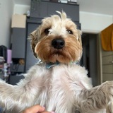 Telegram profile photo for материалы mishland