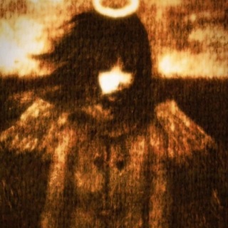Telegram profile photo for info.