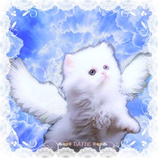 Telegram profile photo for мяу, епта