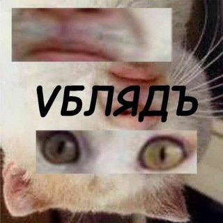 Telegram profile photo for VБЛЯДЪ
