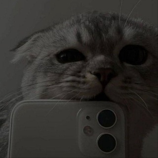 Telegram profile photo for κ―π»κ―πͺ ππ¨π―π’π² πππ§π π’π³ πͺοΈκ―πΏκ―β’κ―βπ¦